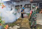 Cegah DBD, Tim Kesehatan Bersama Babinsa Lakukan Fogging
