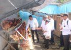 Kalapas Fakfak Panen Telur Ayam, Inovasi Perternakan di Lapas Magelang