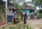 Senyum Sumringah Warga, Saat Mengolah Pakan Hewan Ternak Dibantu Babinsa